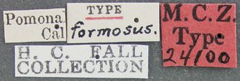 Media type: image;   Entomology 24100 Aspect: labels